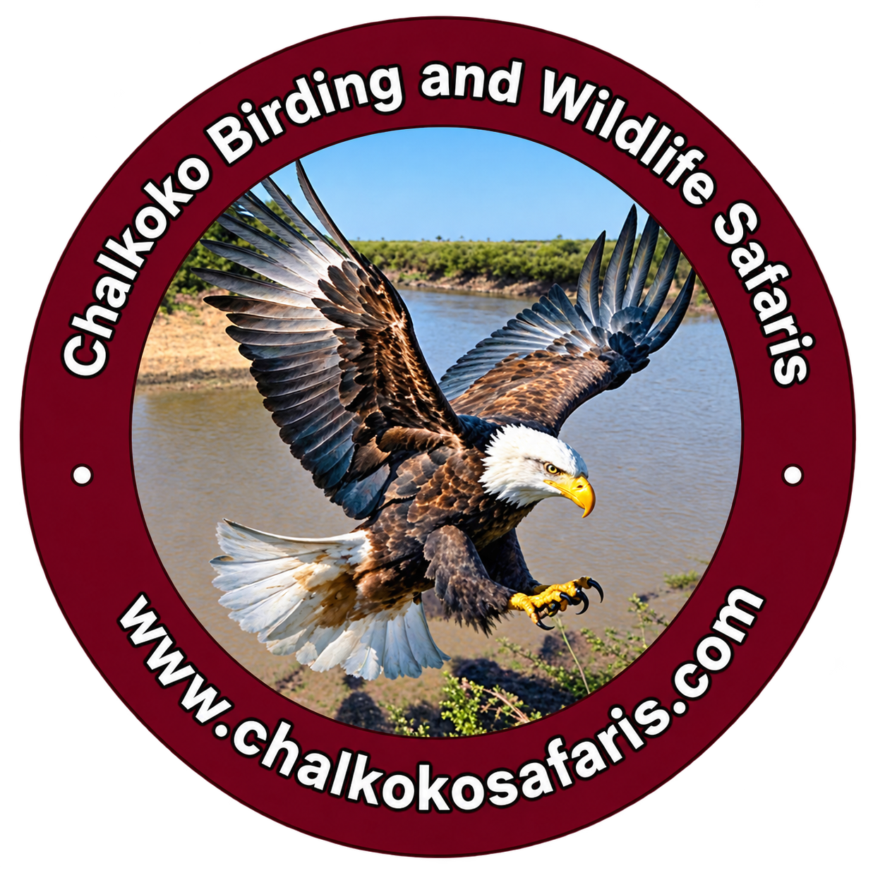 Chalkoko Birding & Wildlife Safaris